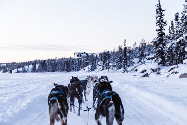 Les Meilleurs Événements en Montagne Pour les Enfants: Guide Complet