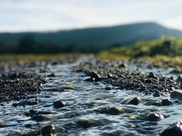 La Belle Vie en Pleine Nature : Découvrez les Services Insoupçonnés des Campings en Montagne